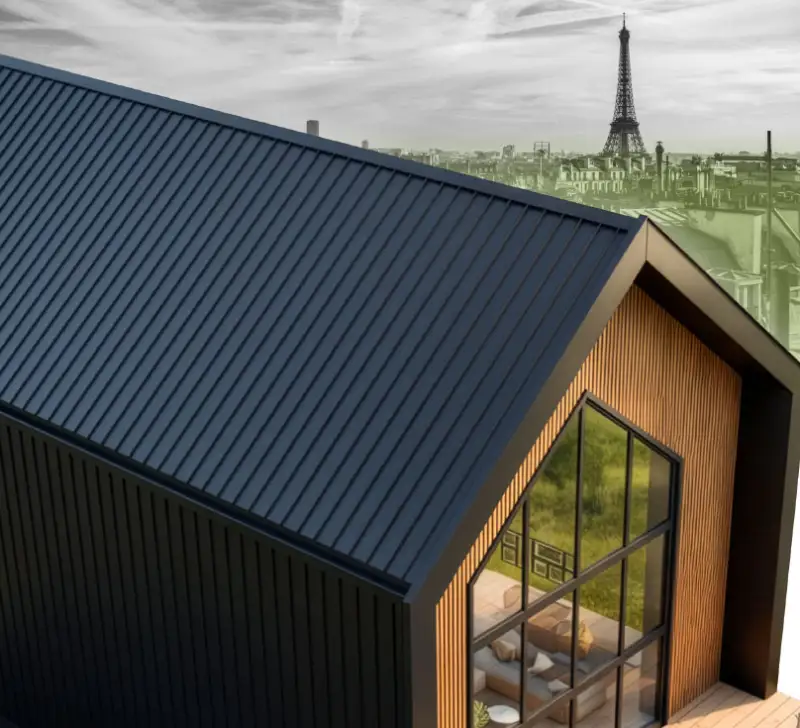 Toiture imitation zinc avec vue sur Paris