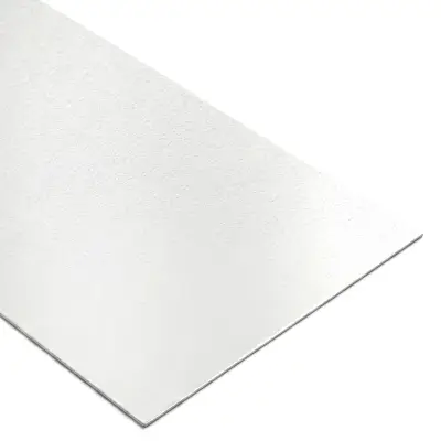 Tôle Plane 0,75 mm Prélaquée 1220 × 3000 mm Esprit Zinc Bianco 105